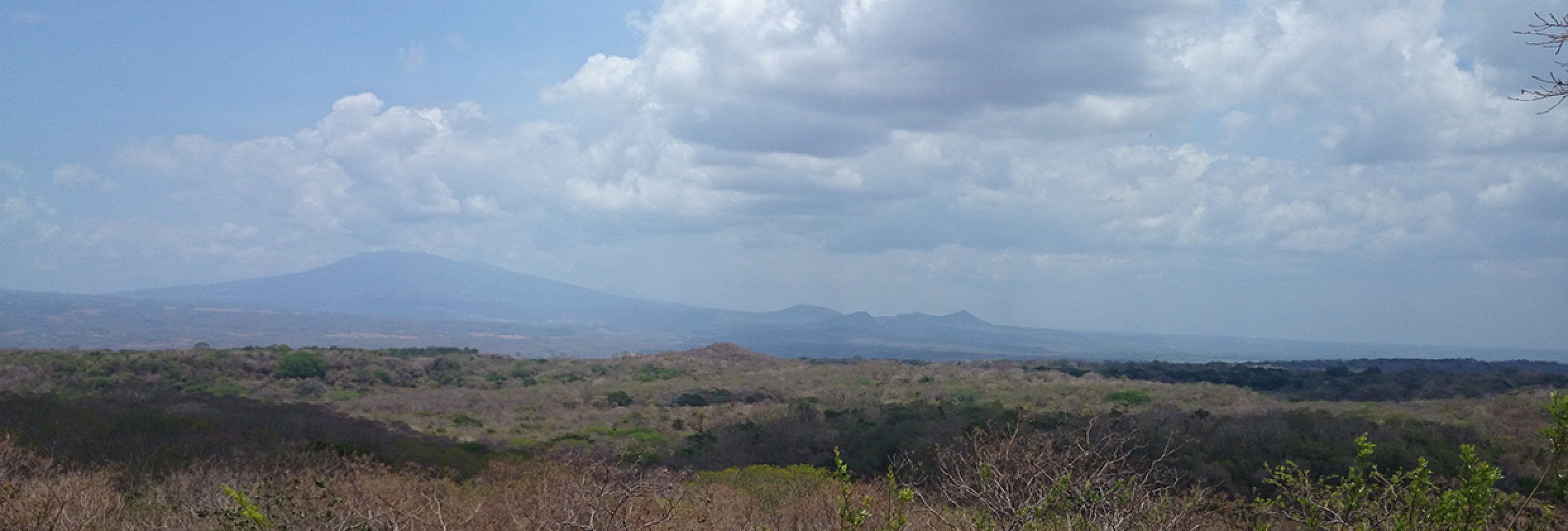 Tropi Dry Building Bridges Between Research And Conservation